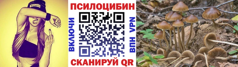 MEGA ссылки  где купить наркоту  Солигалич  Галлюциногенные грибы Cubensis 